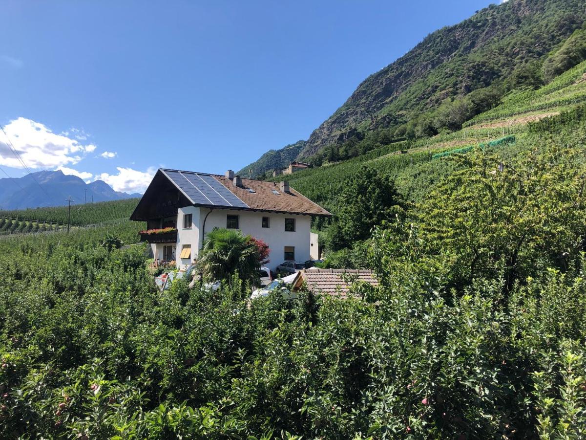 Apartmán Pixnerhof - Urlaub Am Biohof Castelbello Exteriér fotografie