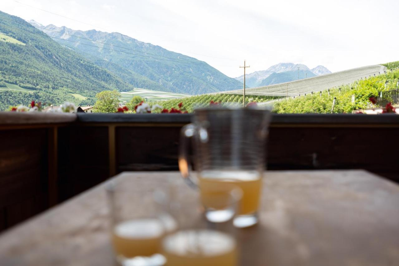 Apartmán Pixnerhof - Urlaub Am Biohof Castelbello Exteriér fotografie