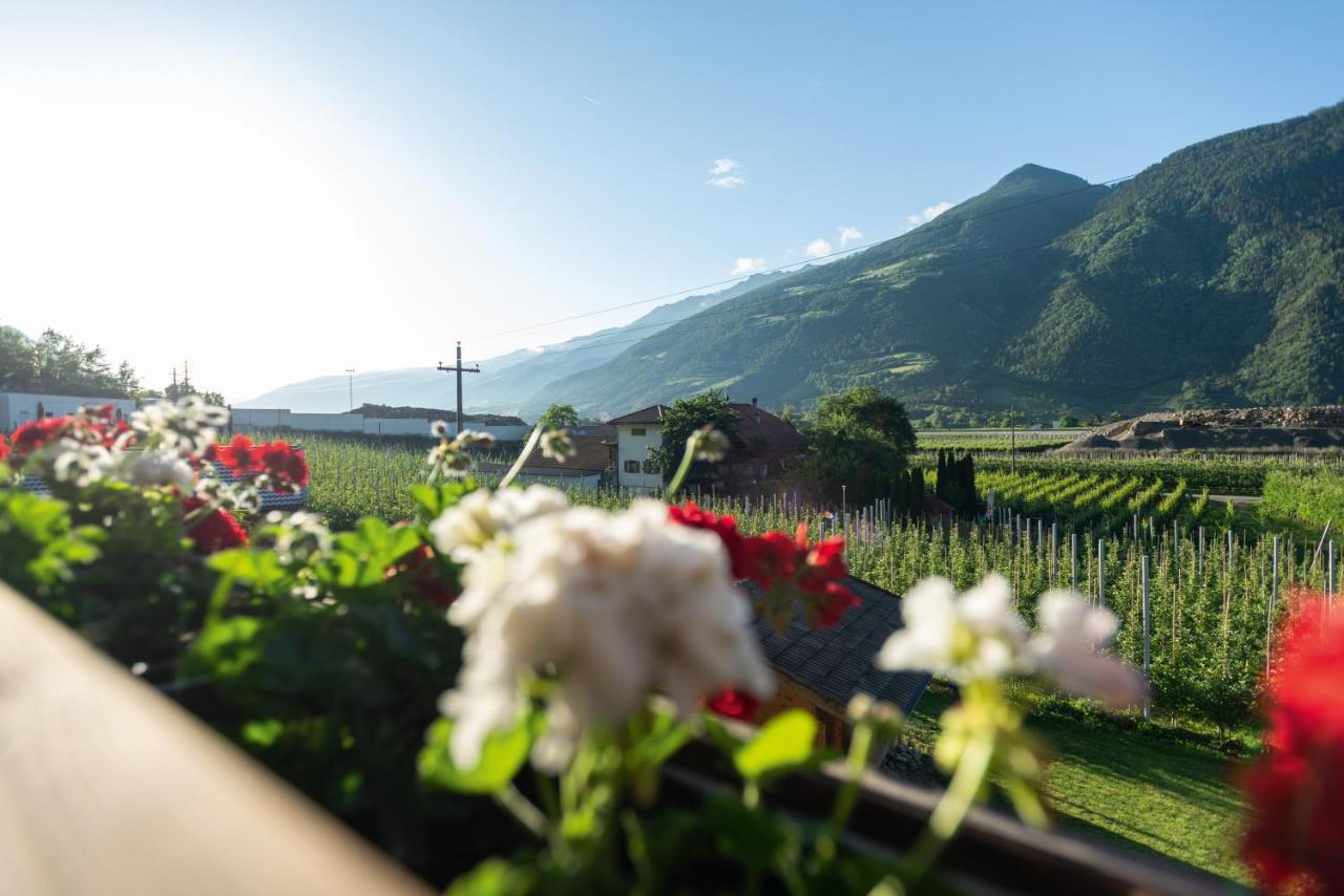 Apartmán Pixnerhof - Urlaub Am Biohof Castelbello Exteriér fotografie