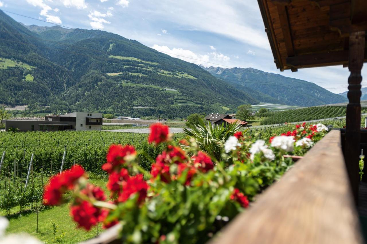 Apartmán Pixnerhof - Urlaub Am Biohof Castelbello Exteriér fotografie