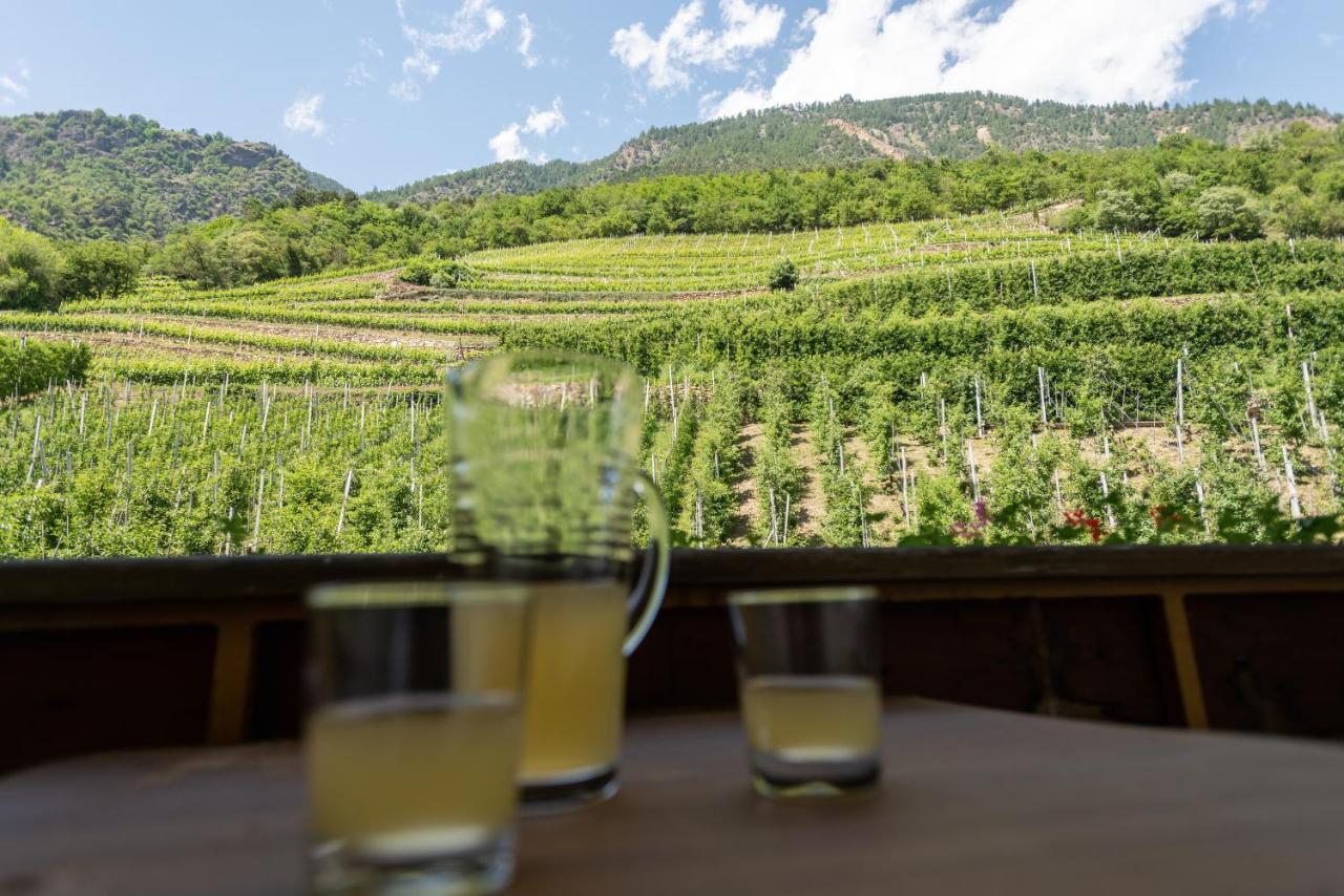 Apartmán Pixnerhof - Urlaub Am Biohof Castelbello Exteriér fotografie